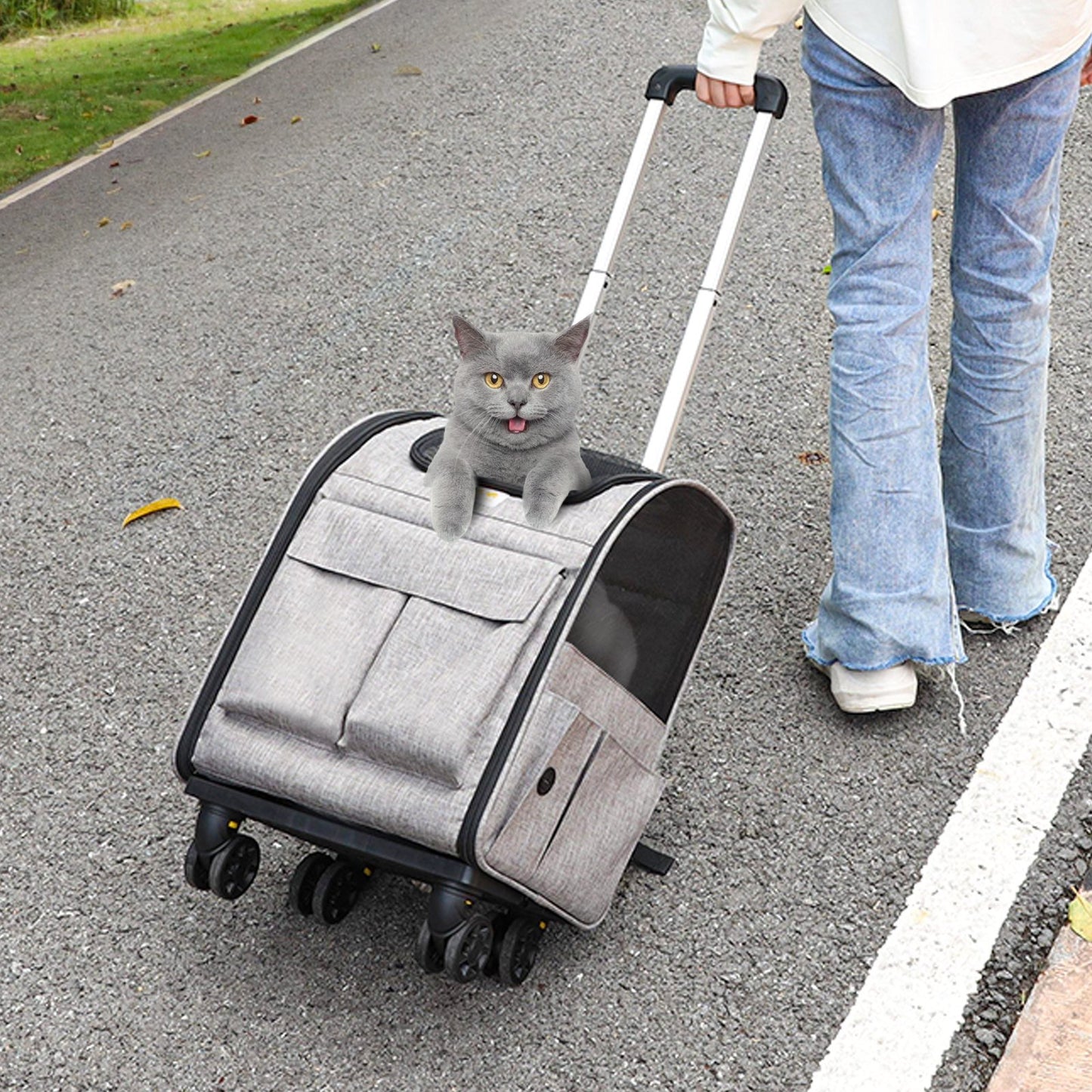 Rolling Pet Carrier with Removable Wheels for Cats & Dogs