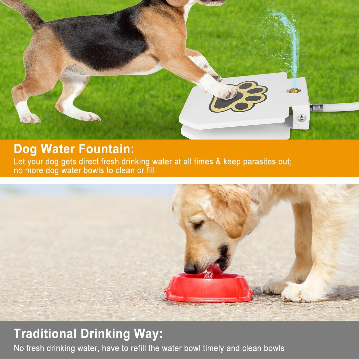 Paw Activated Water Dispenser for Dogs