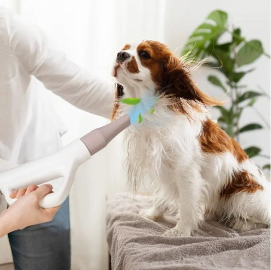 Smart Professional-Grade Grooming Blow Dryer with 4 Detachable Nozzles for Cats & Dogs