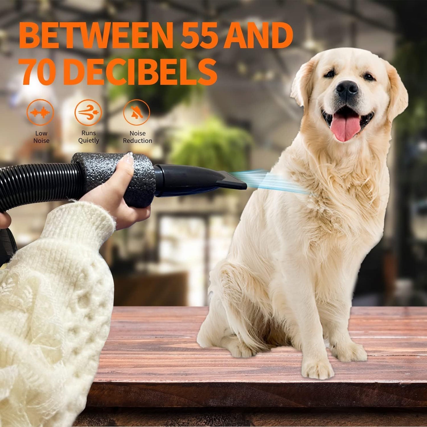 Golada Professional-Grade Grooming Blow Dryer with 4 Detachable Nozzles for Cats & Dogs