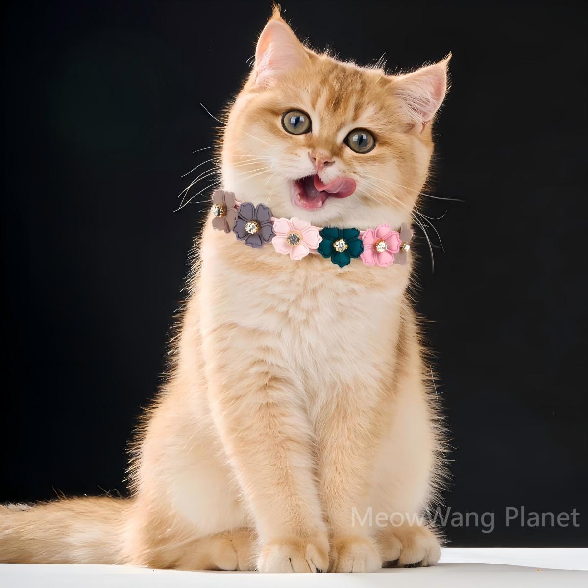Luxury Floral Leather Collar with Elegant Rhinestone for Cats & Dogs