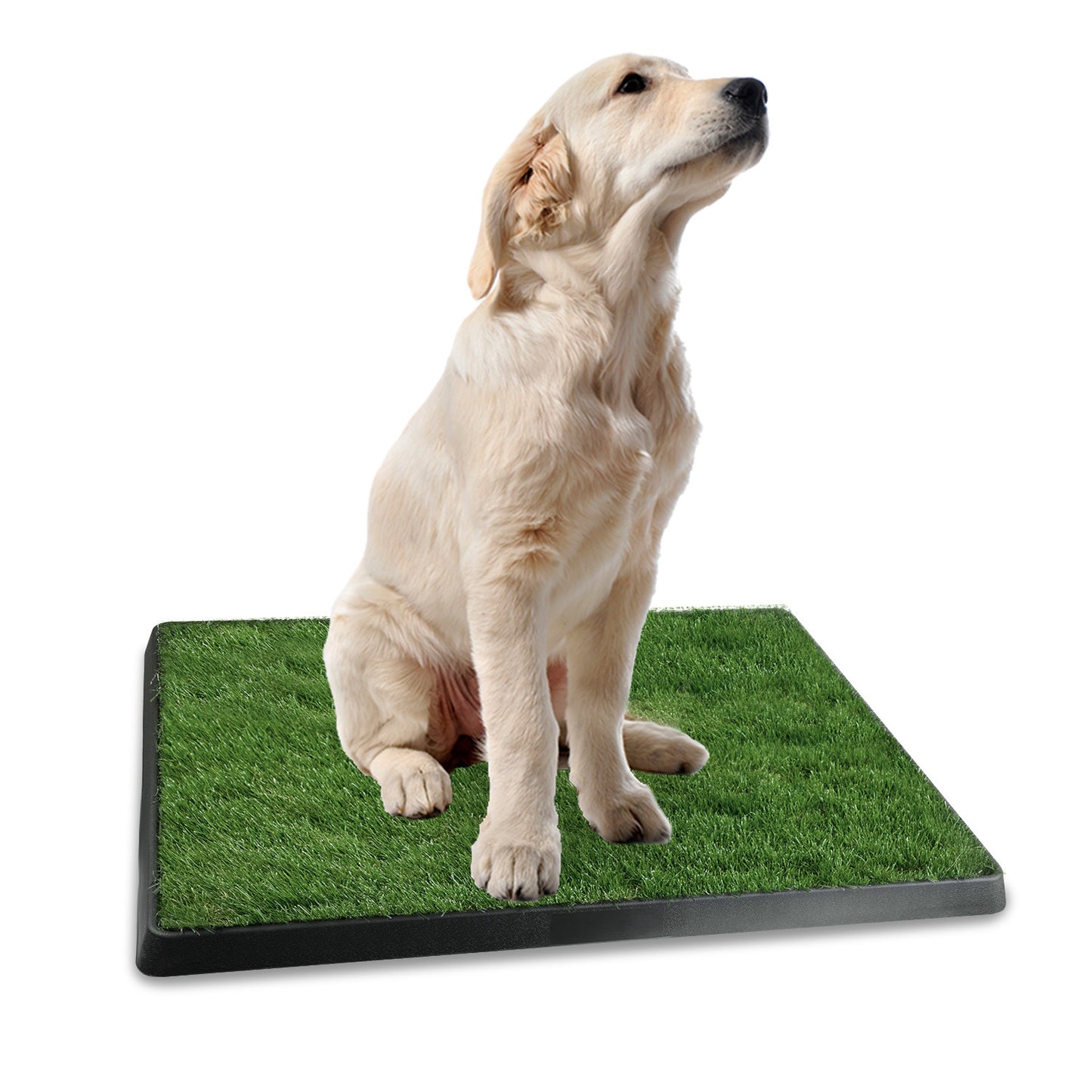 1Pc Potty Training Artificial Grass Pad for Dogs. (Easy Cleaning)