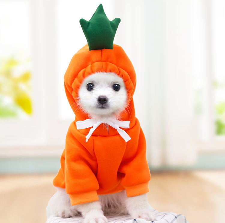 Cute Holiday and Year Round Outfits for Cats & Dogs