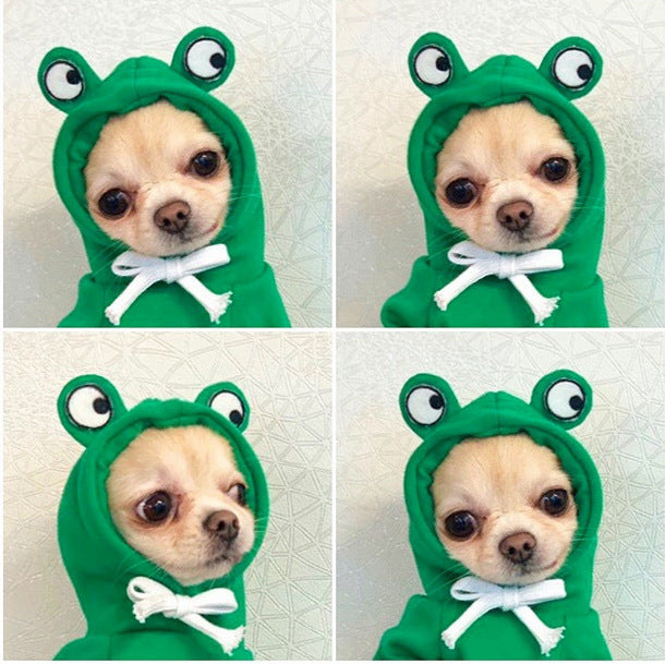 Cute Holiday and Year Round Outfits for Cats & Dogs