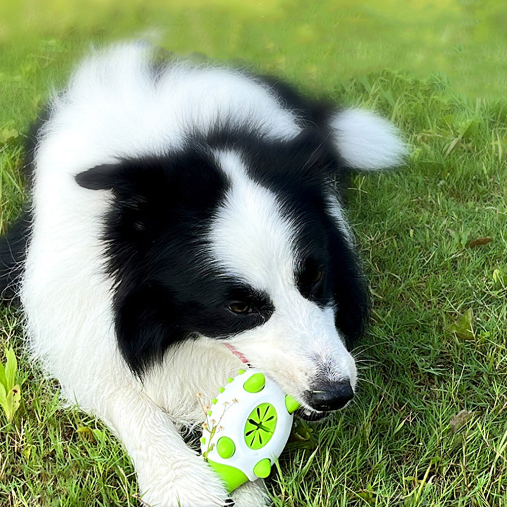 2-in-1 Hedgehog Chewing Ball Molarclean Teeth Cleaning and Food Dispenser Toy for Dogs