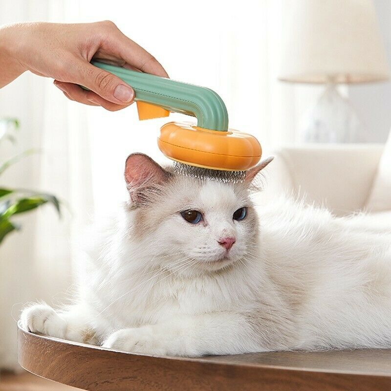 Pumpkin Grooming Slicker Brush for Cats & Dogs