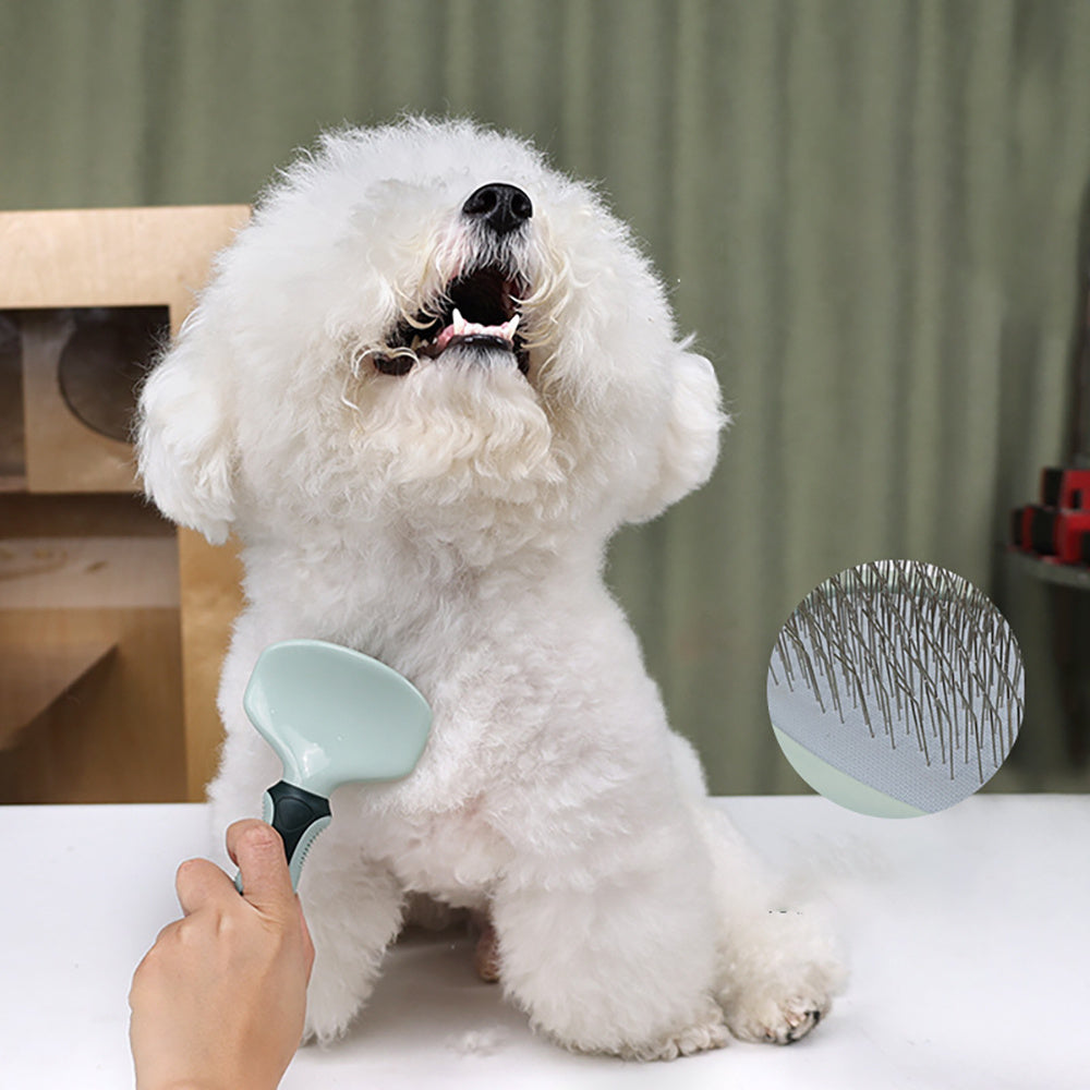 Professional, Cordless, Low Noise Dog Grooming Kit Universal for Cats