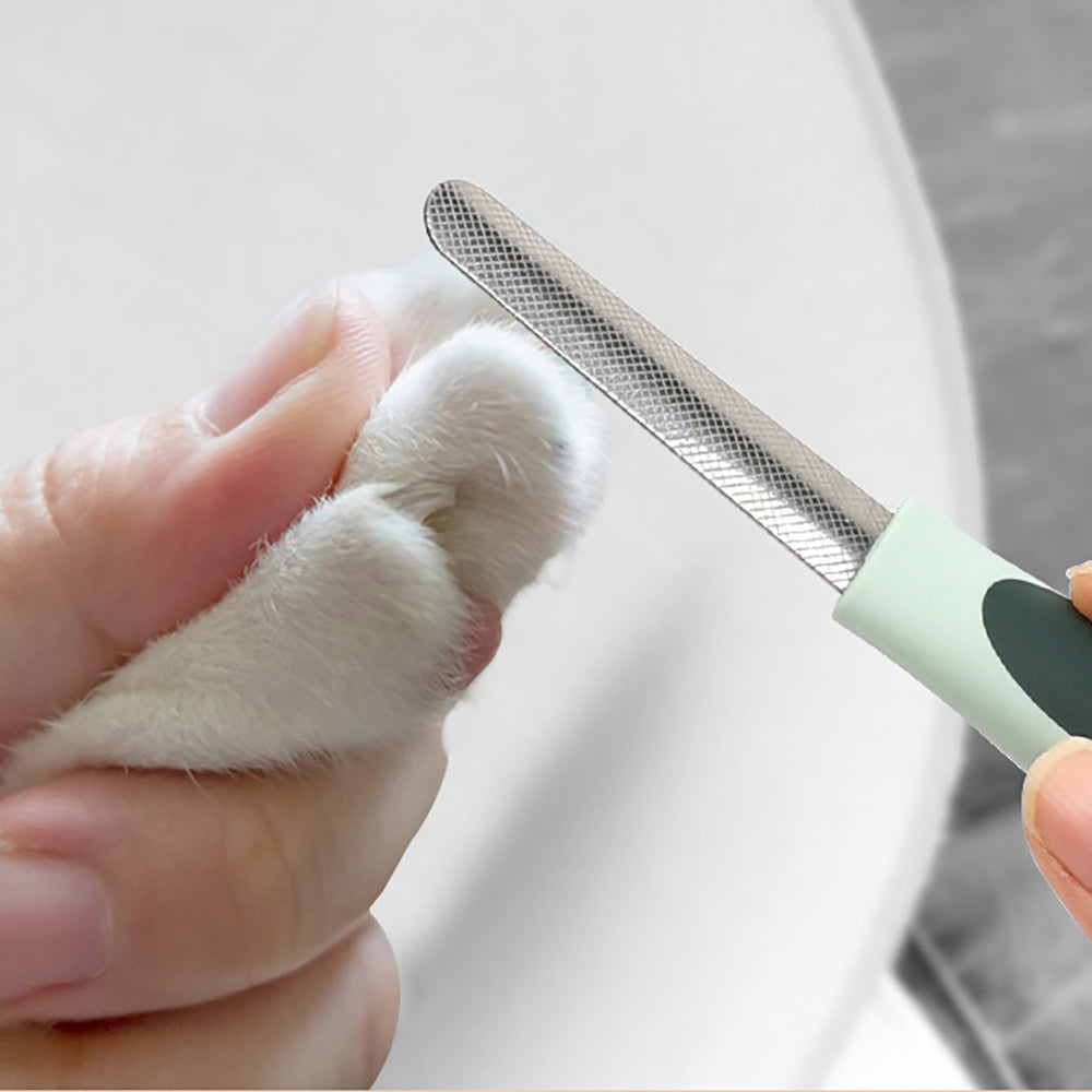Professional, Cordless, Low Noise Dog Grooming Kit Universal for Cats