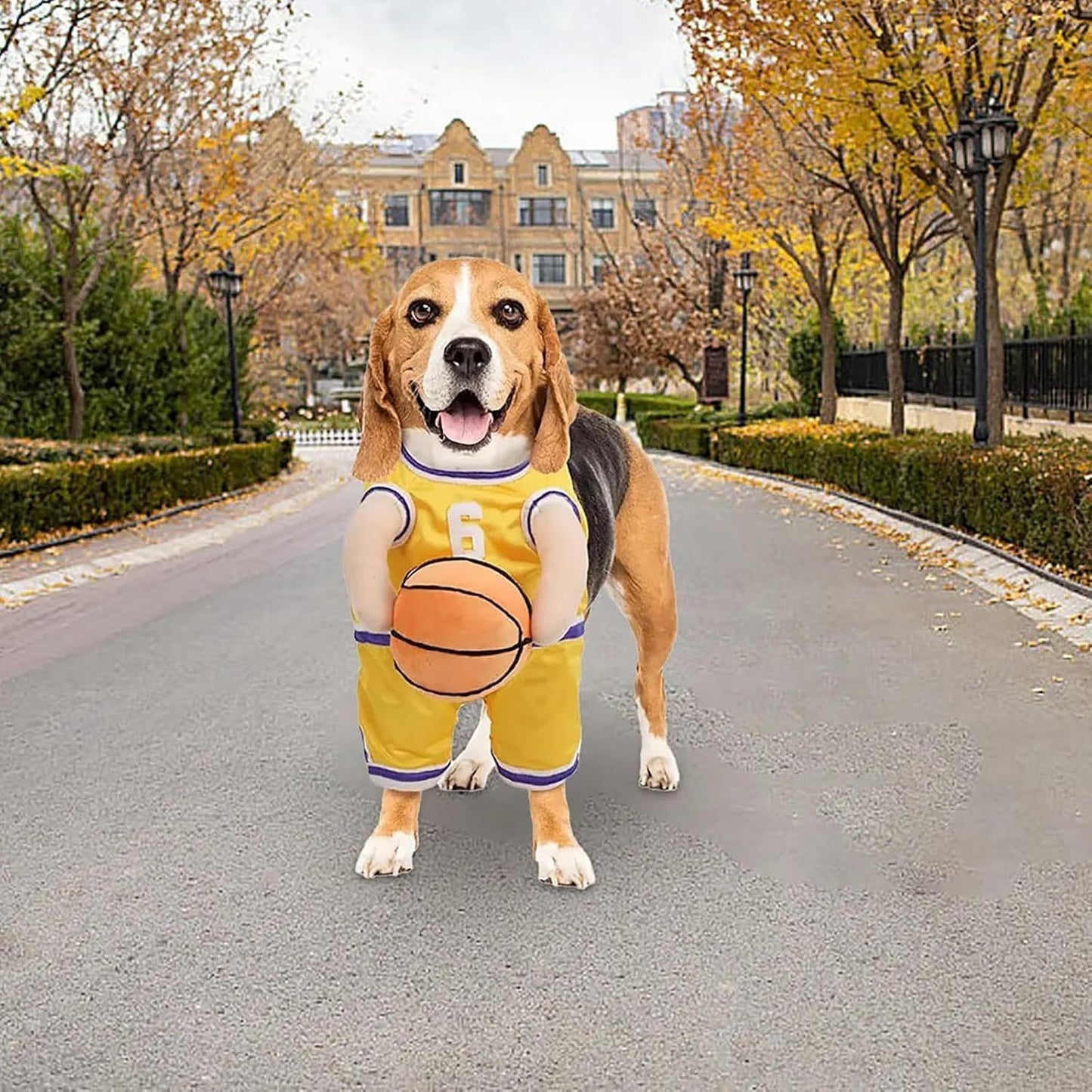Funny Creative Sporty Basketball Player Halloween Costumes for Dogs