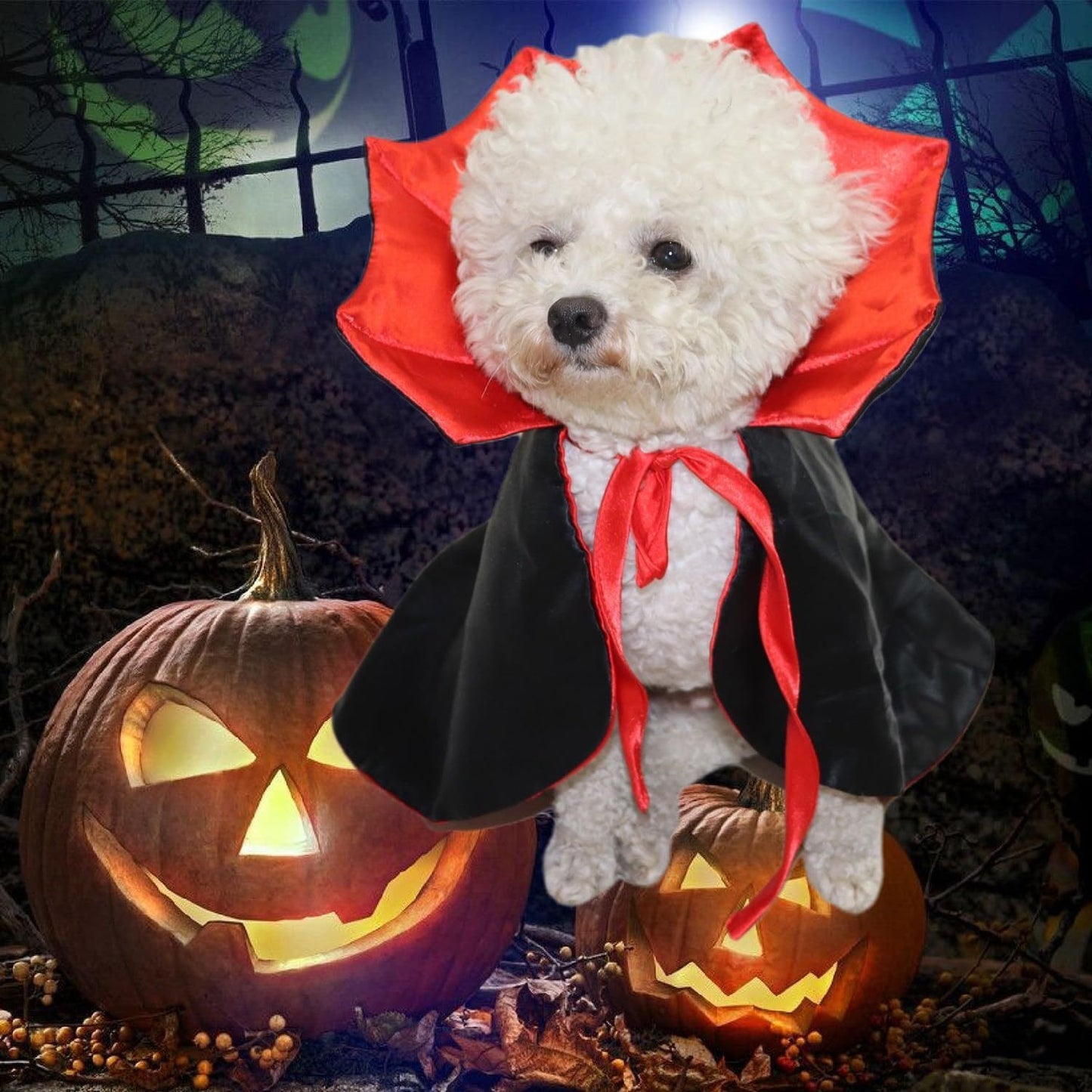Spooky Vampire Gothic Halloween Costume for Cats & Dogs