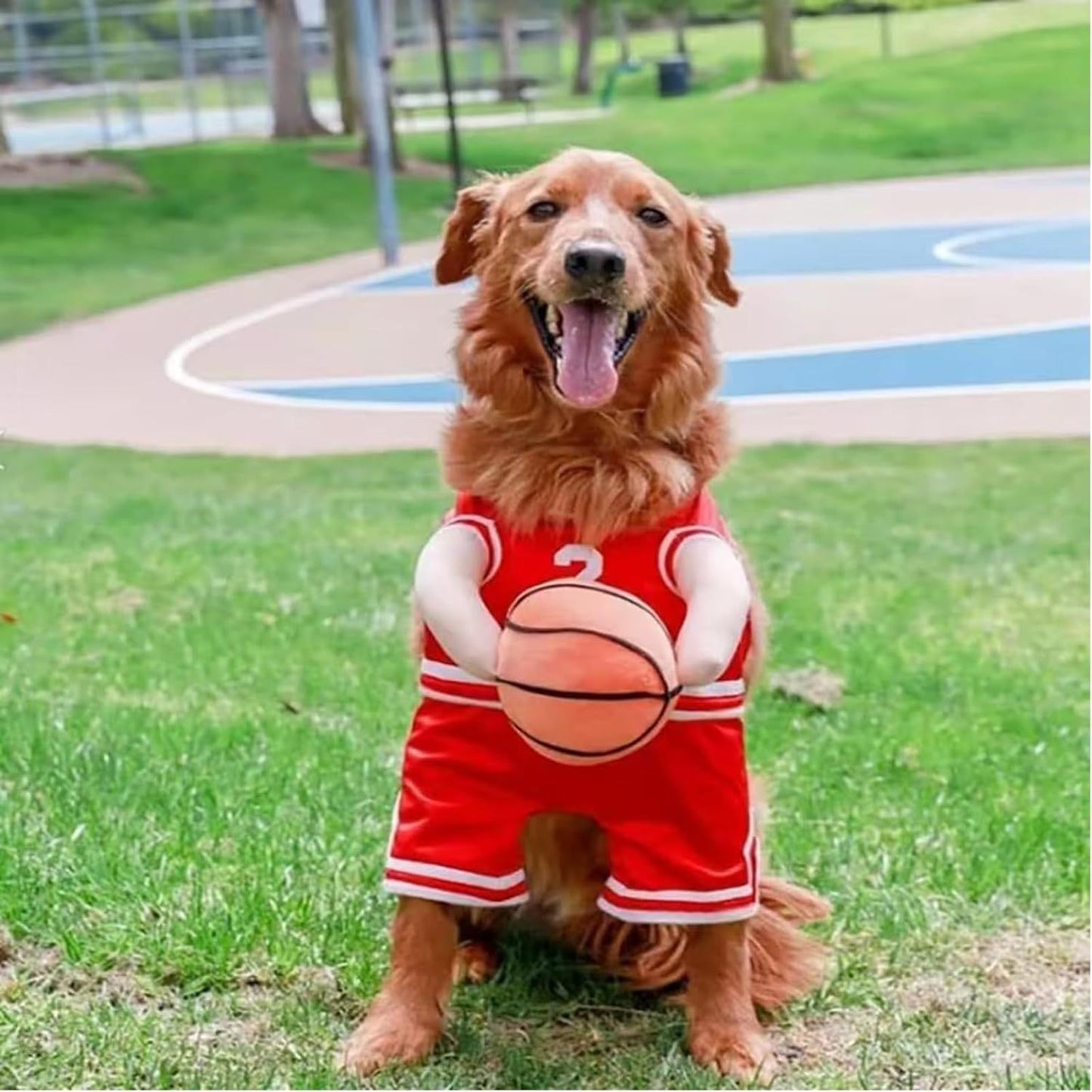 Funny Creative Sporty Basketball Player Halloween Costumes for Dogs