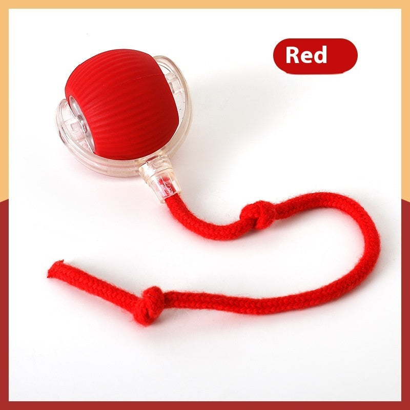Smart Interactive Super Drive Cat Rolling Ball