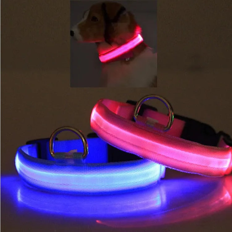 LED Safety Halo Style Collar Universal for Cats & Dogs
