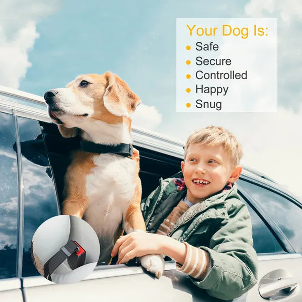 2Pcs Adjustable Seat Belt Leash with Harness for Cats & Dogs