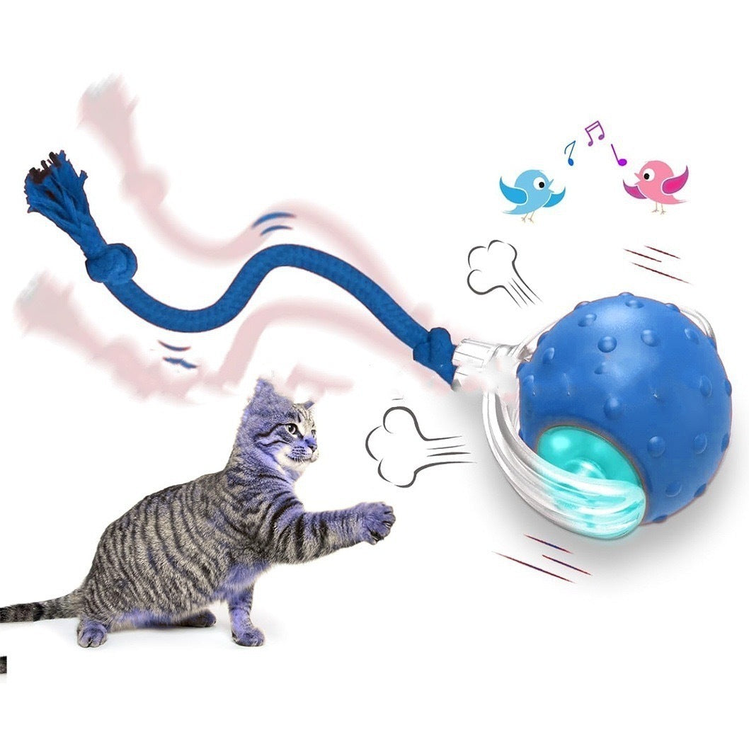 Smart Interactive Super Drive Cat Rolling Ball