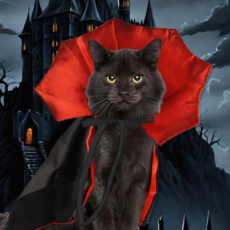 Spooky Vampire Gothic Halloween Costume for Cats & Dogs