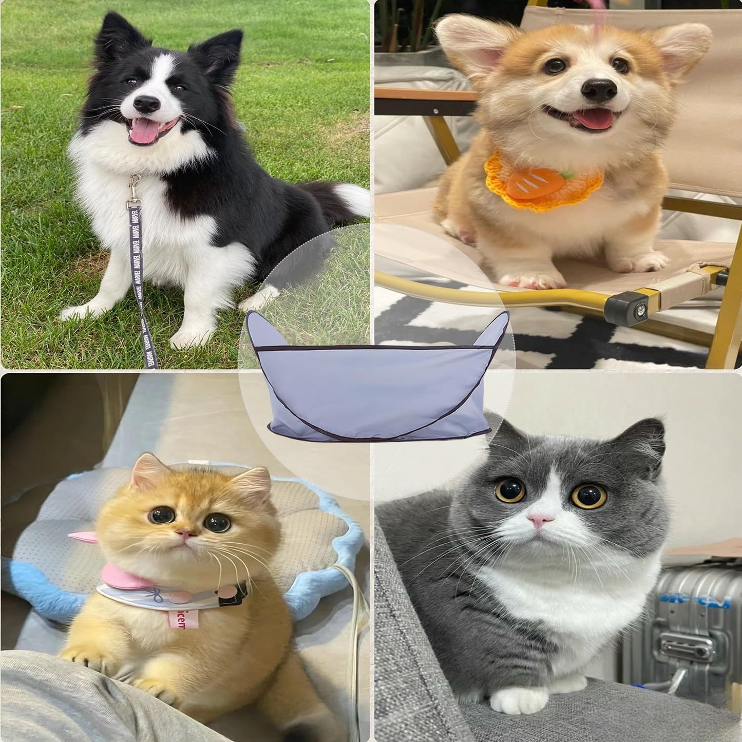 2-in-1 Waterproof Hair Catcher Tent with Adjustable Barbering Cape for Bathing and Easy Pet Grooming for Dogs & Cats
