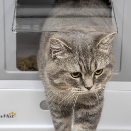 Paw Hut Gray Enclosed Cat Litter Box, Front Entry, Top Exit with Scoop