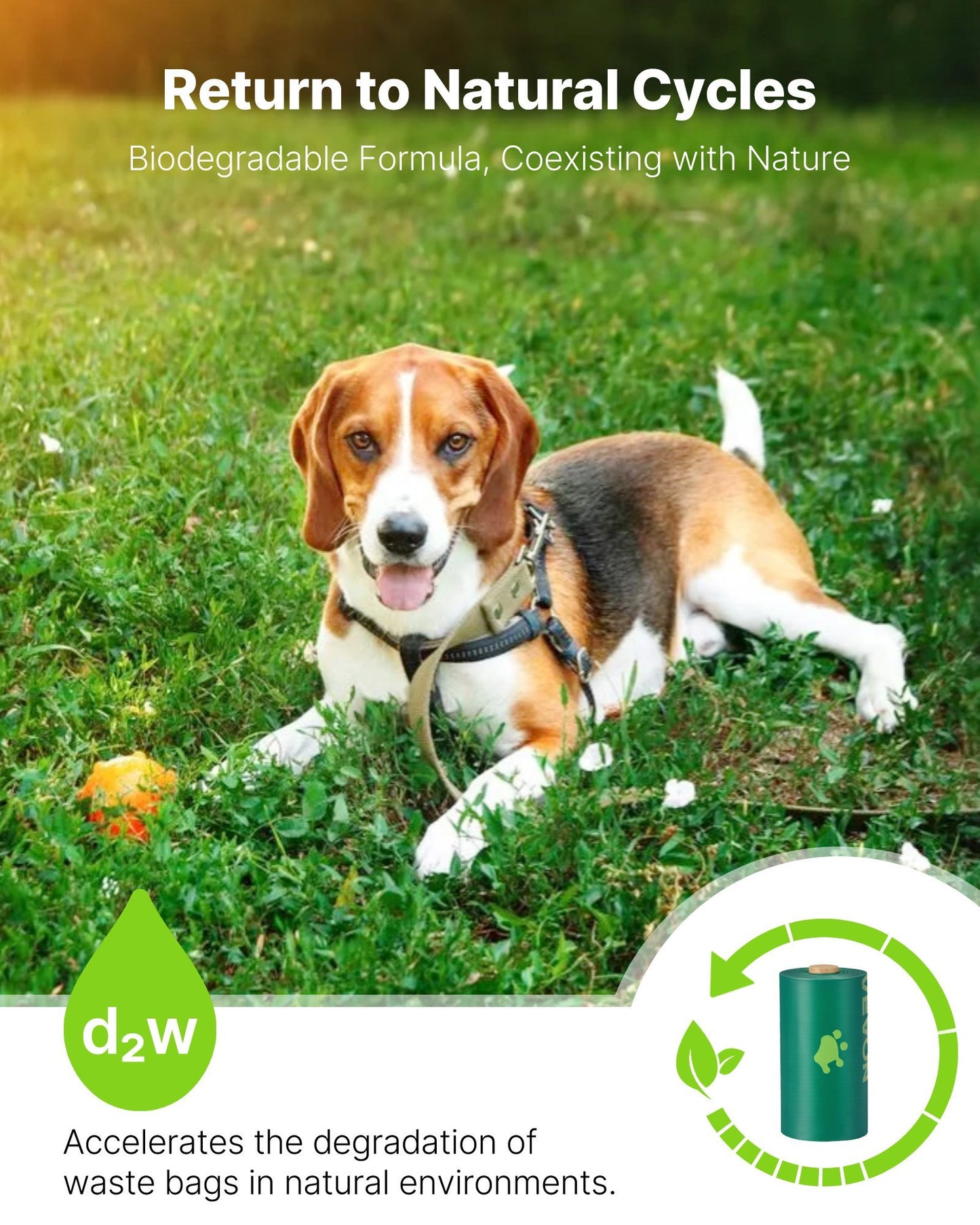 270 Lavender Scented Biodegradable Waste Bags + Refillable Bag Dispenser for Dog Waste