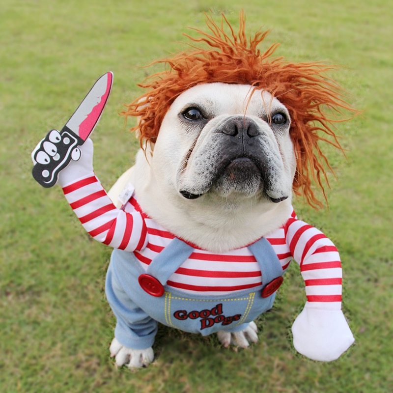 Spooktacular Cutesy, Artsy Chucky Doll or Horseman Halloween Costumes for Dogs