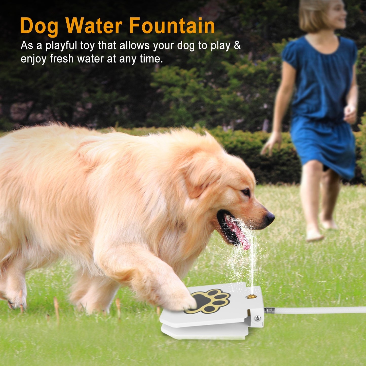 Paw Activated Water Dispenser for Dogs