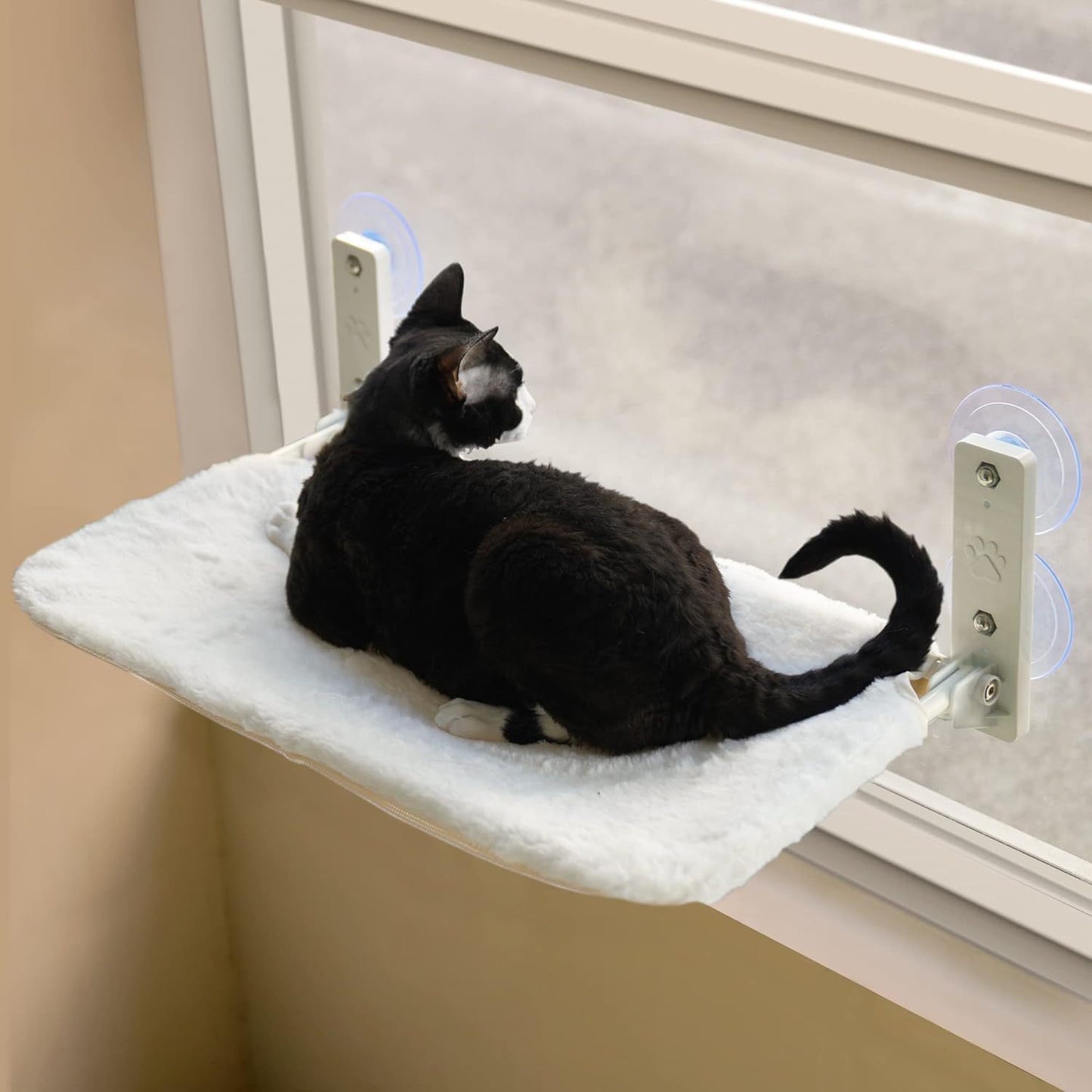 MEWOOFUN Window Perch with Steel Frame and Strong Suction Cups for Cats