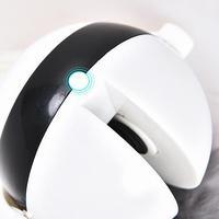 Interactive Electronic Motion Cat Toy (Fun to watch)