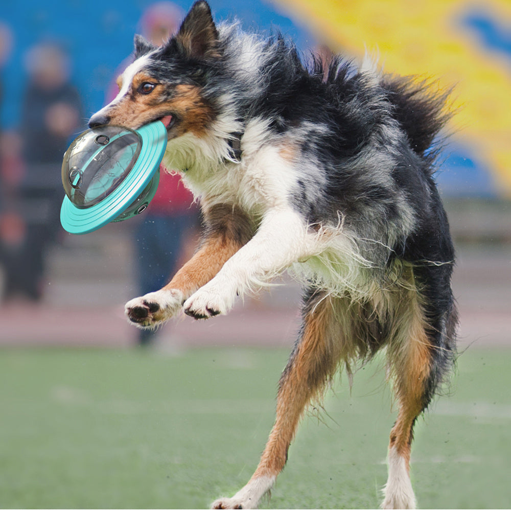 Food & Treat Dispensing Toy for Dogs (Interactive IQ Stimulator)
