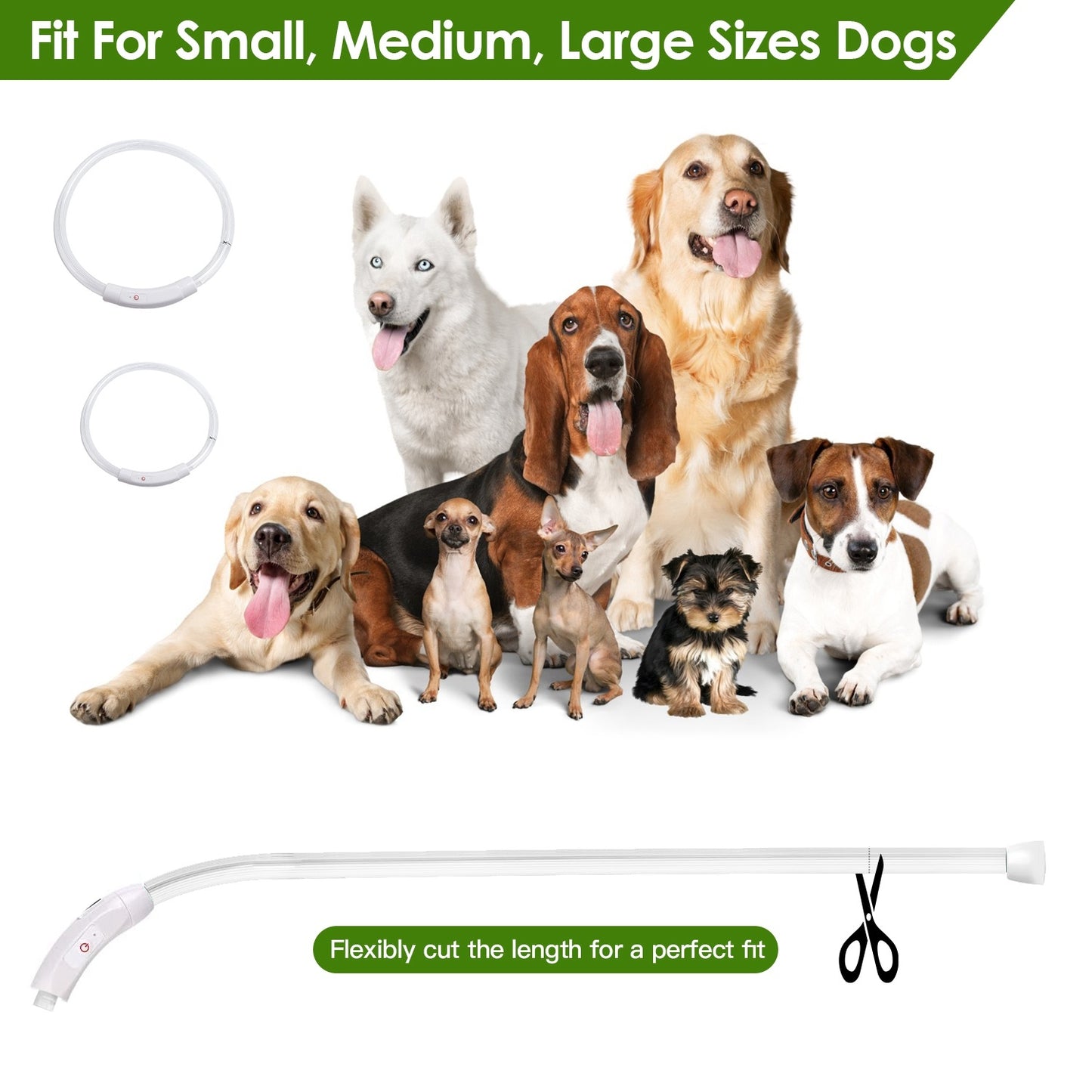 USB Rechargeable LED with Multi Color Lighting for Cats & Dogs