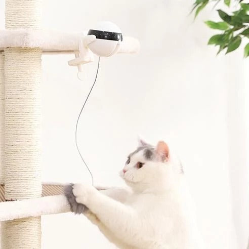 Interactive Electronic Motion Cat Toy (Fun to watch)