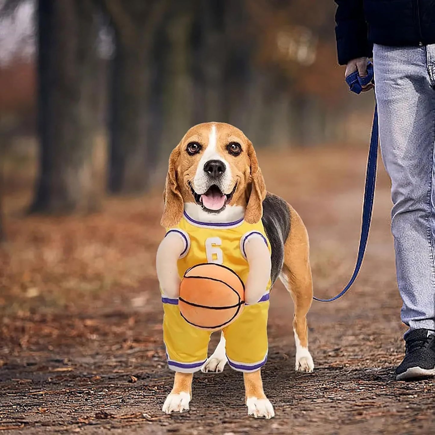 Funny Creative Sporty Basketball Player Halloween Costumes for Dogs