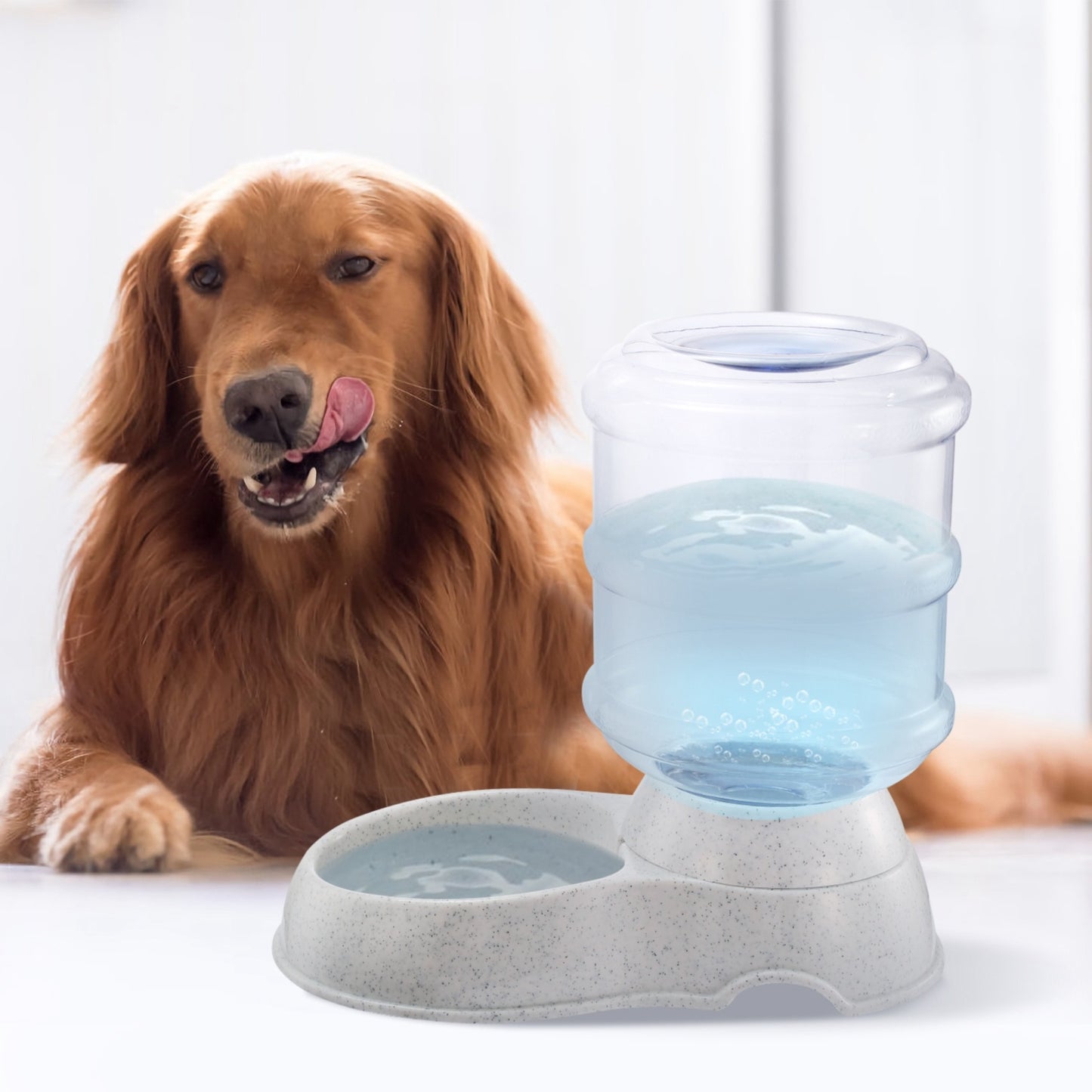 1Gal Pet Water Dispenser for Cats & Dogs