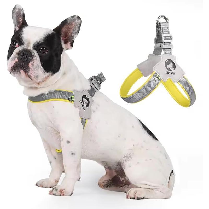 Adjustable Pet Harness + Leash with Reflective Stitching for Safety at Night for Dogs