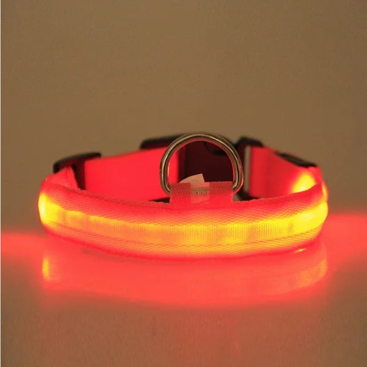 LED Safety Halo Style Collar Universal for Cats & Dogs