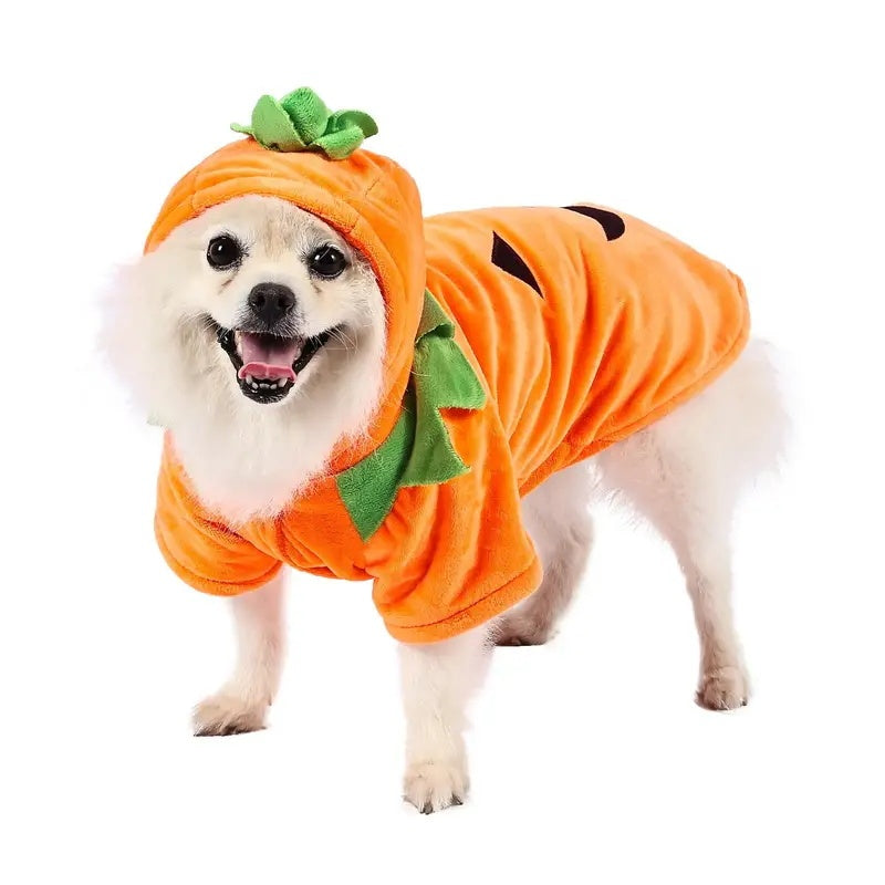 Adorable Halloween Pumpkin Costume for Dogs
