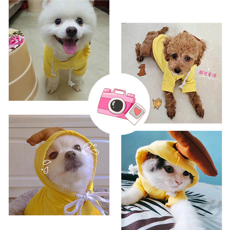 Cute Holiday and Year Round Outfits for Cats & Dogs