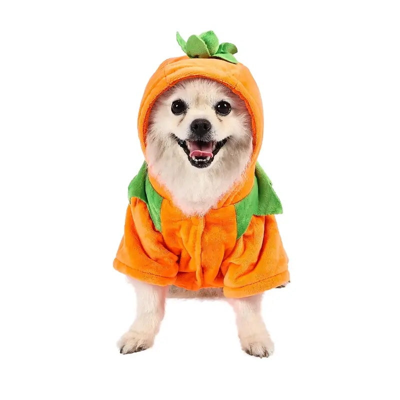 Adorable Halloween Pumpkin Costume for Dogs