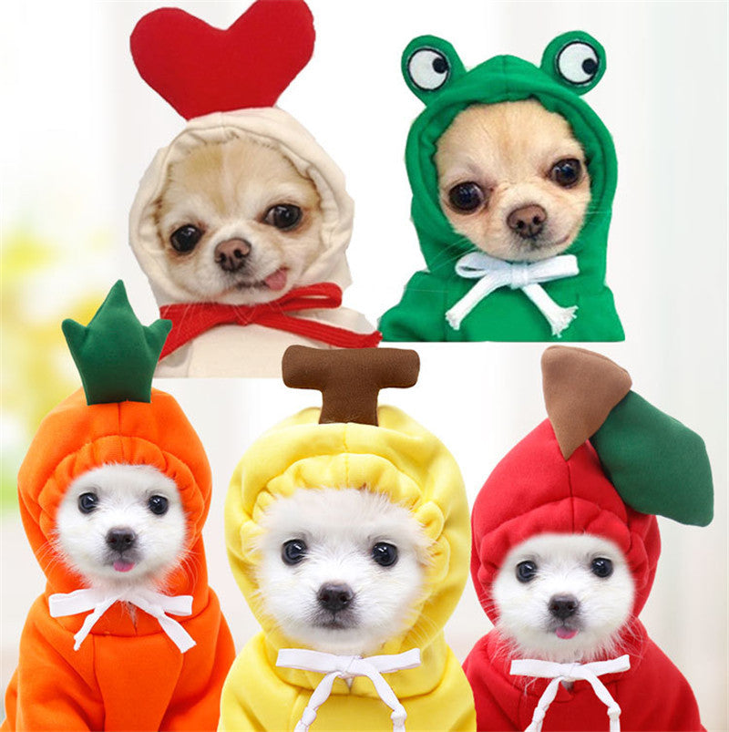 Cute Holiday and Year Round Outfits for Cats & Dogs