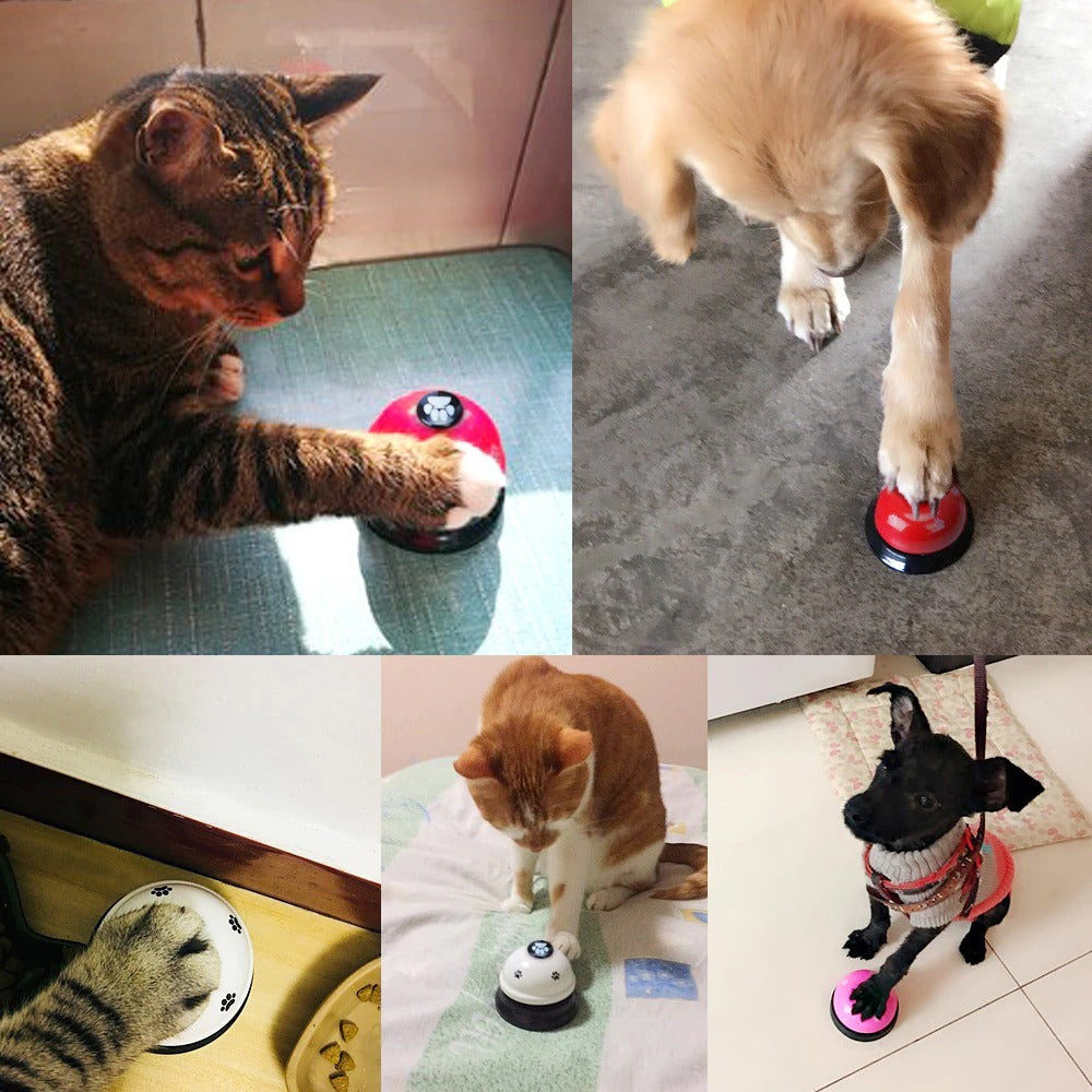 Non-Skid Rubber Base Training Toy for Cats & Dogs