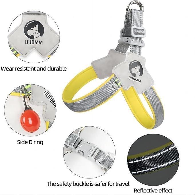 Adjustable Pet Harness + Leash with Reflective Stitching for Safety at Night for Dogs