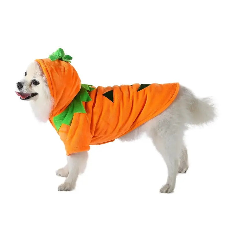 Adorable Halloween Pumpkin Costume for Dogs