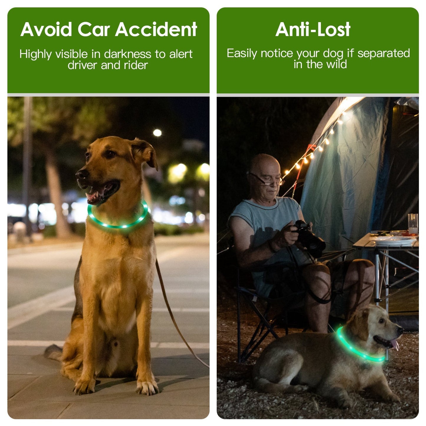 USB Rechargeable LED with Multi Color Lighting for Cats & Dogs