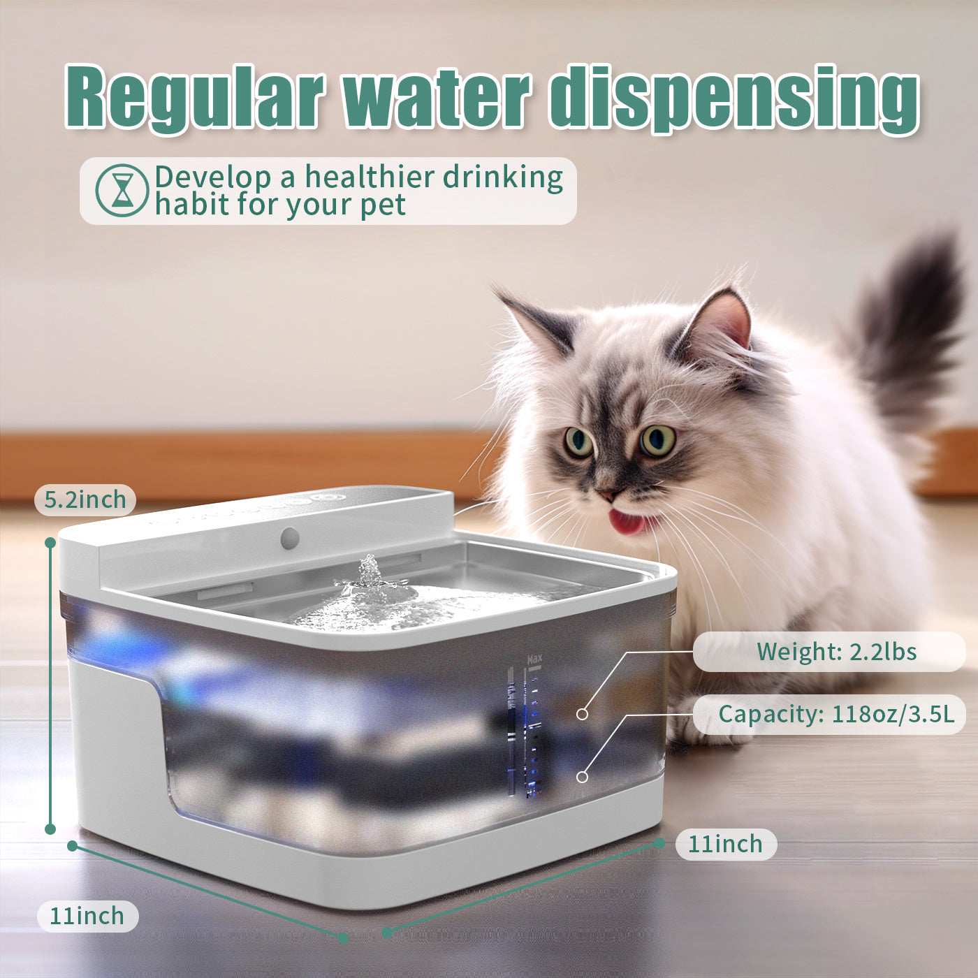 Translucent Water Dispenser with Bright UV Light for Cats & Dogs