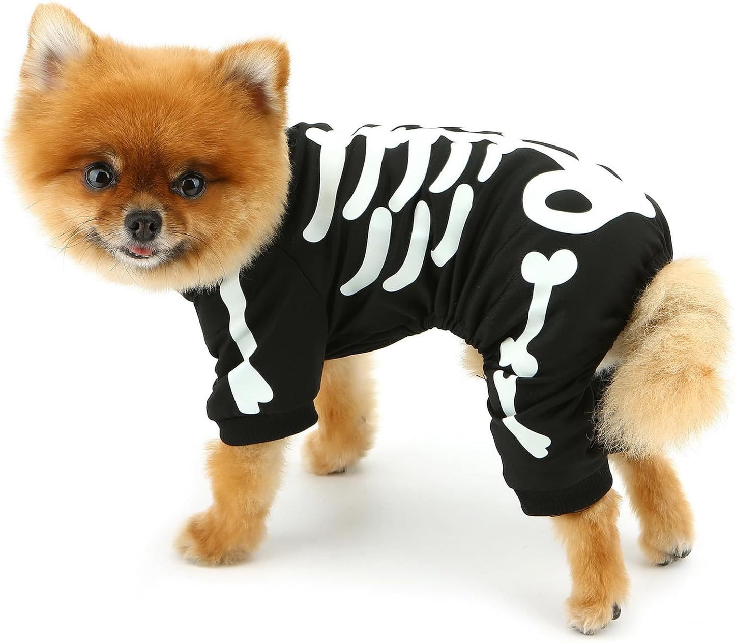 Comfortable Glow in the Dark Skeleton Halloween Costume for Cats & Dogs