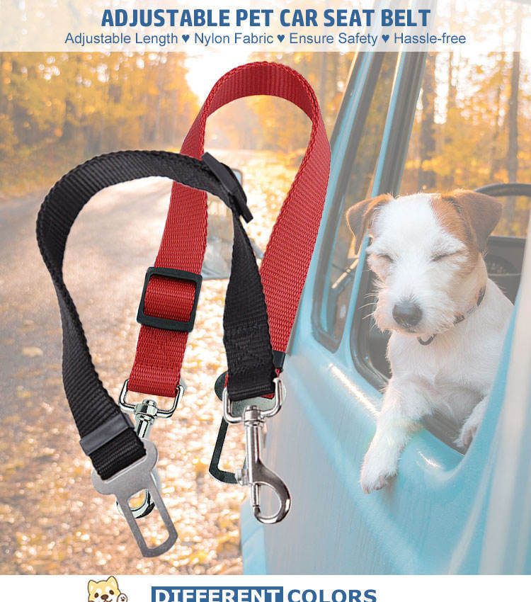 Durable Vehicle Seatbelt Leash for Cats and Dogs