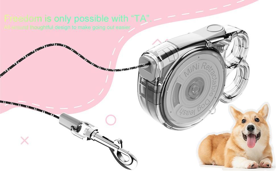 Mini Retractable Leash - for Cats & Small Dogs