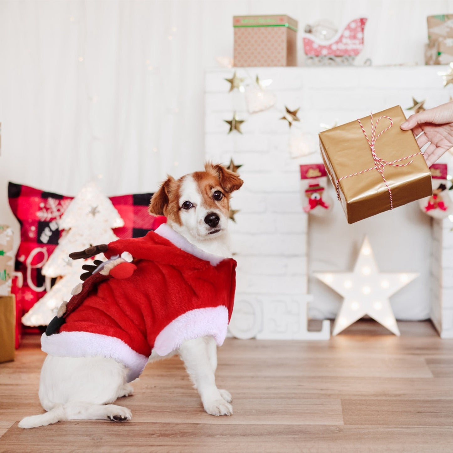 Christmas Themed Santa Claus Reindeer Antlers Costume for Dogs & Cats