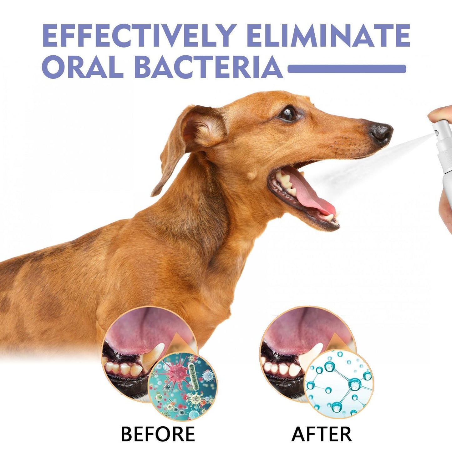 Yegbong Oral Cleaning Breath Deodorizer for Cats & Dogs