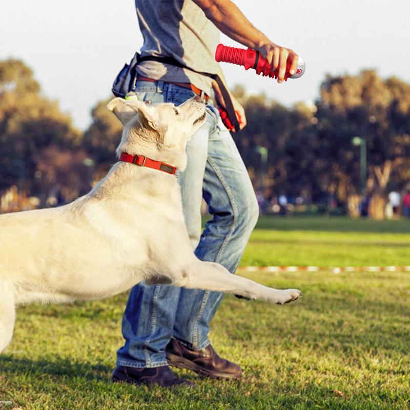 Stimulative IQ Interactive Toys Made of High-Quality Rubber Designed for Dogs