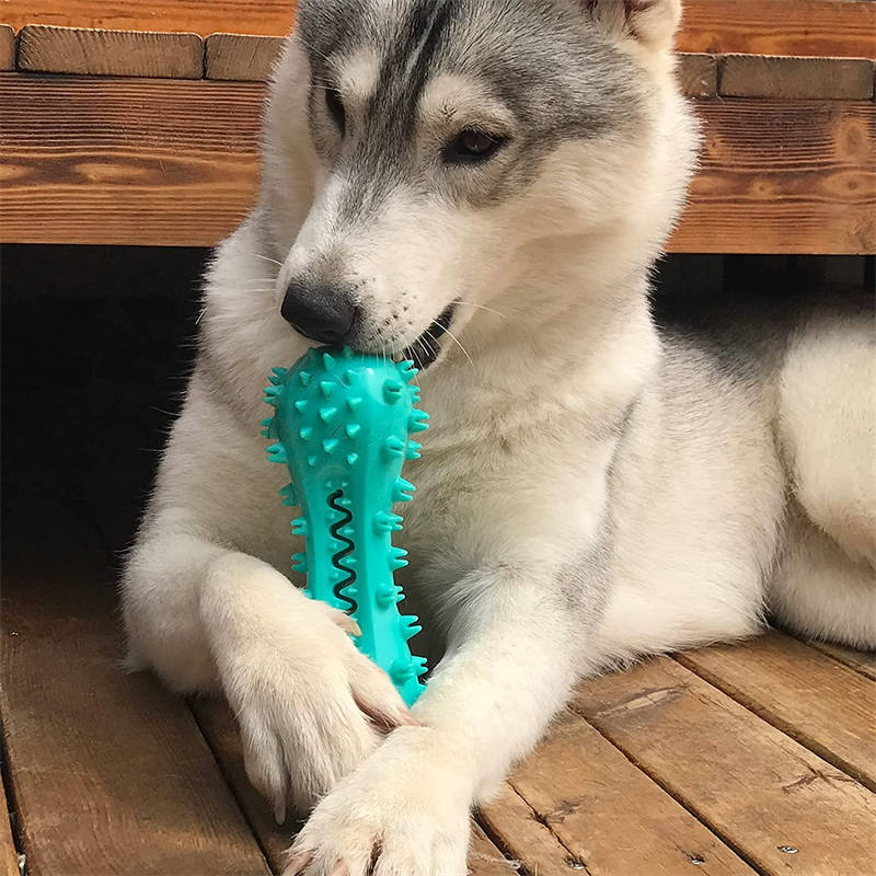 Rubber Molar Stick Oral Cleaning Chew Toy for Dogs (Durable for Aggressive Dogs)